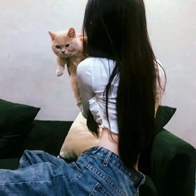 雾夜情杀案