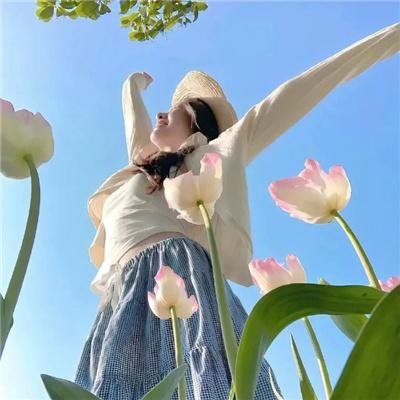 白莲花